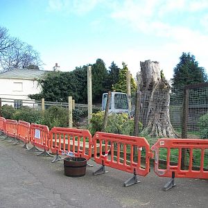 Sewerby Zoo, "Lemur Land" under construction 31st March 2012