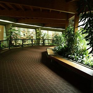 Interior of Great ape exhibit