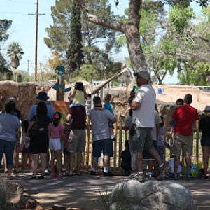 elephant presentation