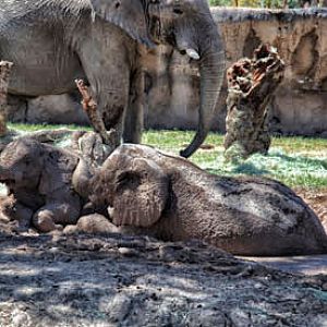 babies playing in mud