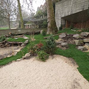 Bat-eared Fox Enclosure