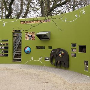 Asian Elephant Education