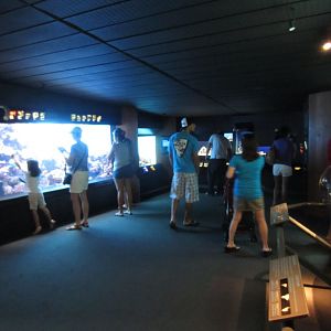 Interior of Aquarium