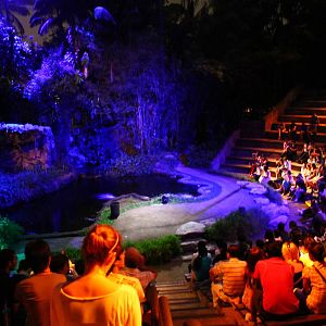 Creatures of the Night show