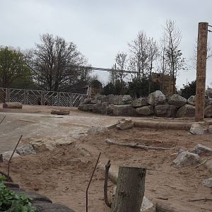 Asian Elephant exhibit at Chester Zoo 31/03/12