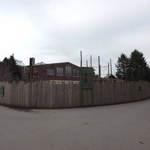Old Orangutan island at Chester Zoo 31/03/12