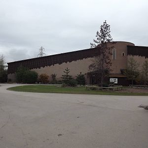 Spirit of the Jaguar at Chester Zoo 31/03/12