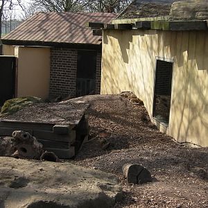View of Yellow Mongoose Enclosure - 24.03.2012