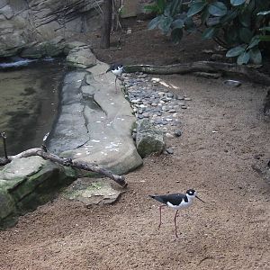Inside the Blackburn Pavillion - 24.03.2012
