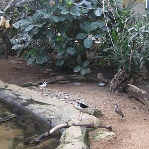 Inside Blackburn Pavillion - 24.03.2012