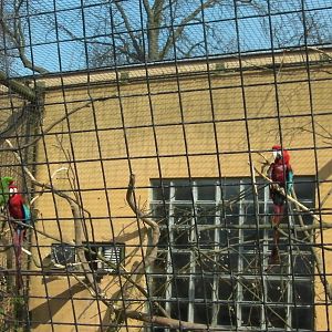 Blackburn Pavillion - 24.03.2012