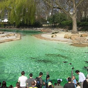 Penguin Beach - 24.03.2012