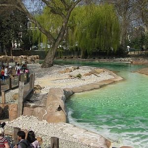 Penguin Beach - 24.03.2012