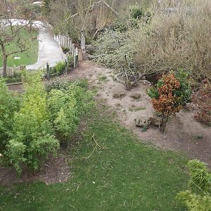 Babirusa and Otter exhibit at Chester Zoo 31/03/12