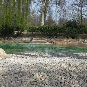 Penguin Beach - 24.03.2012