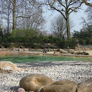 Penguin Beach - 24.03.2012