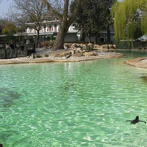 Penguin Beach - 24.03.2012