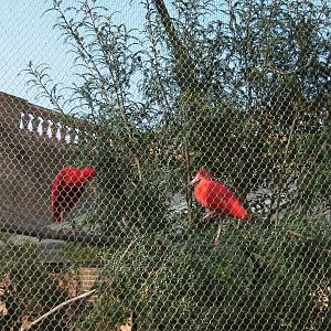 Blackburn Pavillion - 24.03.2012