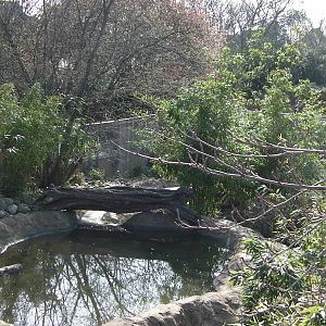 View of Otter Enclosure - 24.03.2012