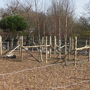 View of Reindeer Enclosure - 24.03.2012