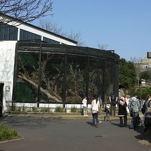 View of Lemur Enclosure - 24.03.2012
