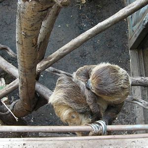 Rain Forest Exhibit - 24.03.2012