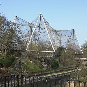 The Snowdon Aviary - 24.03.2012