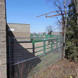 Other elephant holding yard (right side)