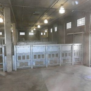 Inside elephant barn