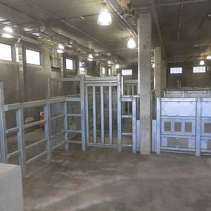 Inside elephant yard