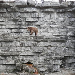 How did I get up here?