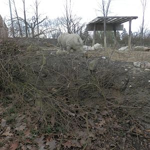 Look at the bottom of the picture