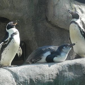 Mom, dad, and no longer a "baby"