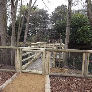 New fencing at Chester Zoo 31/03/12
