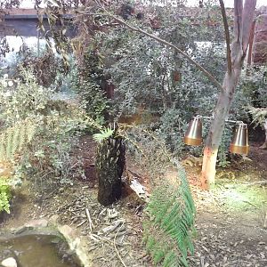 Tuatara exhibit at Chester Zoo 31/03/12