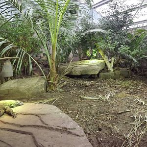 Islands in Danger at Chester Zoo 31/03/12