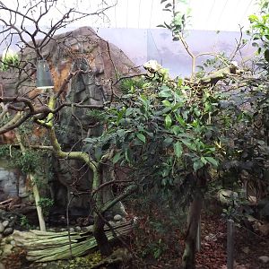 Islands in Danger at Chester Zoo 31/03/12