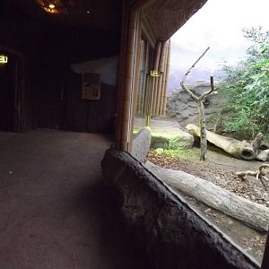 Islands in Danger at Chester Zoo 31/03/12