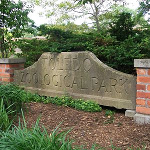 Toledo Zoo