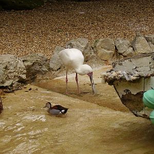 Shore Exhibit - 2006