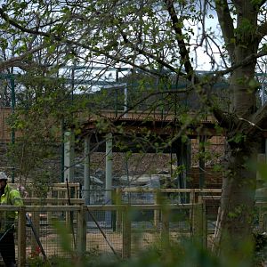 Asian Forest in Dublin ZOO - Glimpse at the building site, April 2012