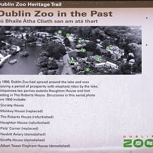 Dublin Zoo in the Past - information sign