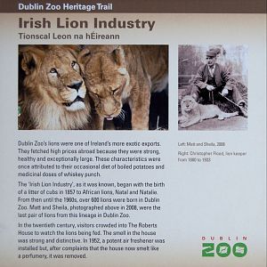 Irish Lion Industry - information sign, Dublin Zoo