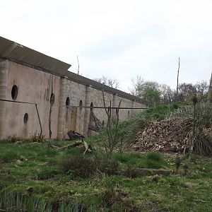 Monkey Islands at Chester Zoo 31/03/12