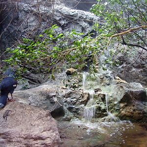 Bird House Exhibit - 2008