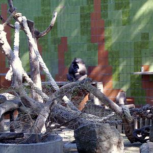 Drill Exhibit - 2008