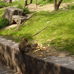 Money exhibit - 2010
