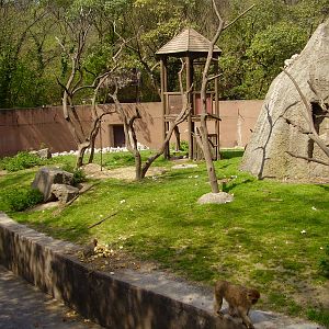 Monkey exhibit - 2010