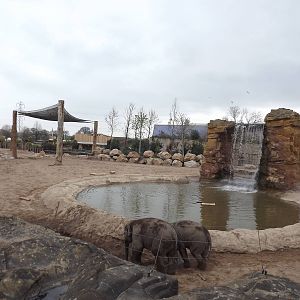 Elephants of the Asian forest exhibit at Chester Zoo 31/03/12