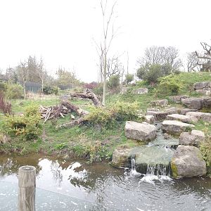 Bear and Coati exhibit at Chester Zoo 31/03/12